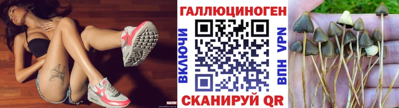 сколько стоит  кракен ссылки  Псилоцибиновые грибы MAGIC MUSHROOMS  Кущёвская 