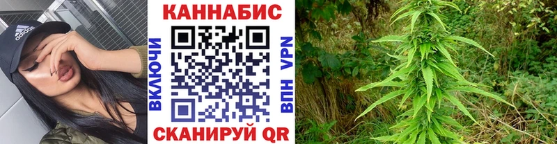 OMG как зайти  Кущёвская  Конопля SATIVA & INDICA  закладка 